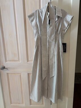 Tuckernuck blue and white stripe linen Chloe Dress.